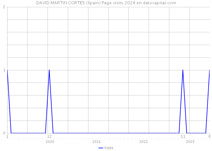 DAVID MARTIN CORTES (Spain) Page visits 2024 