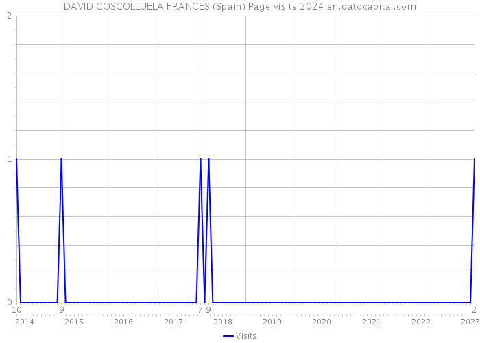 DAVID COSCOLLUELA FRANCES (Spain) Page visits 2024 