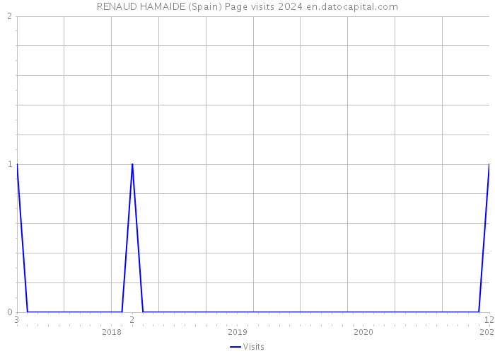 RENAUD HAMAIDE (Spain) Page visits 2024 