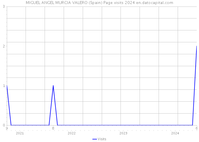 MIGUEL ANGEL MURCIA VALERO (Spain) Page visits 2024 