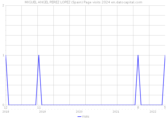MIGUEL ANGEL PEREZ LOPEZ (Spain) Page visits 2024 