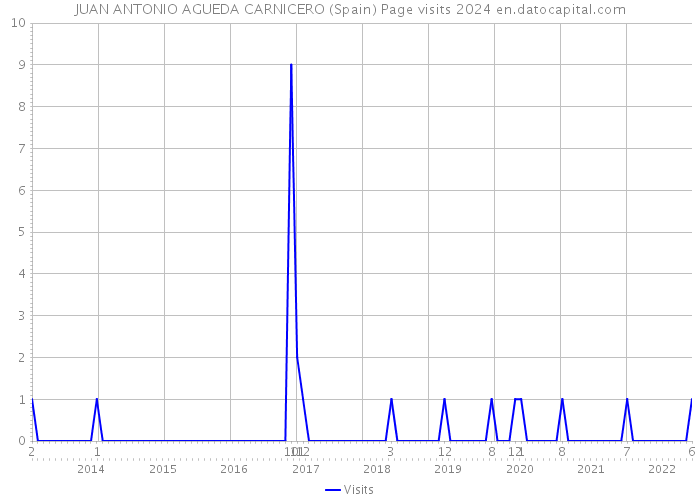 JUAN ANTONIO AGUEDA CARNICERO (Spain) Page visits 2024 