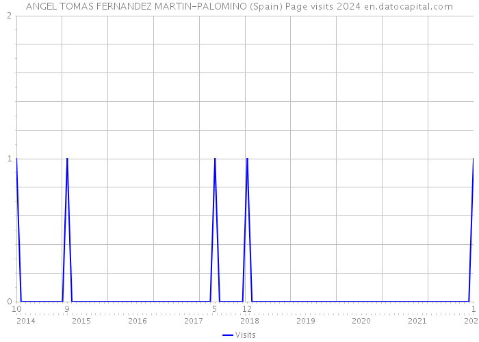 ANGEL TOMAS FERNANDEZ MARTIN-PALOMINO (Spain) Page visits 2024 