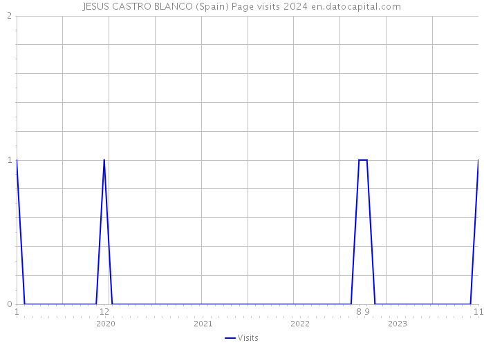JESUS CASTRO BLANCO (Spain) Page visits 2024 