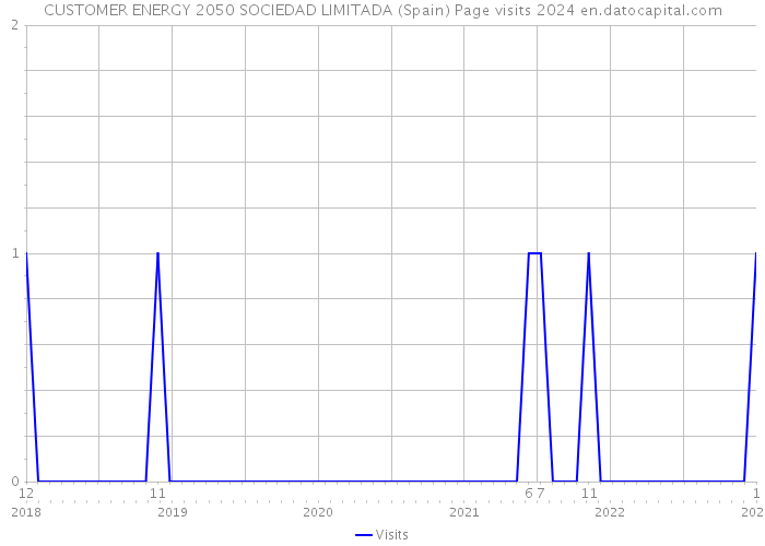 CUSTOMER ENERGY 2050 SOCIEDAD LIMITADA (Spain) Page visits 2024 