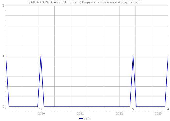 SAIOA GARCIA ARREGUI (Spain) Page visits 2024 