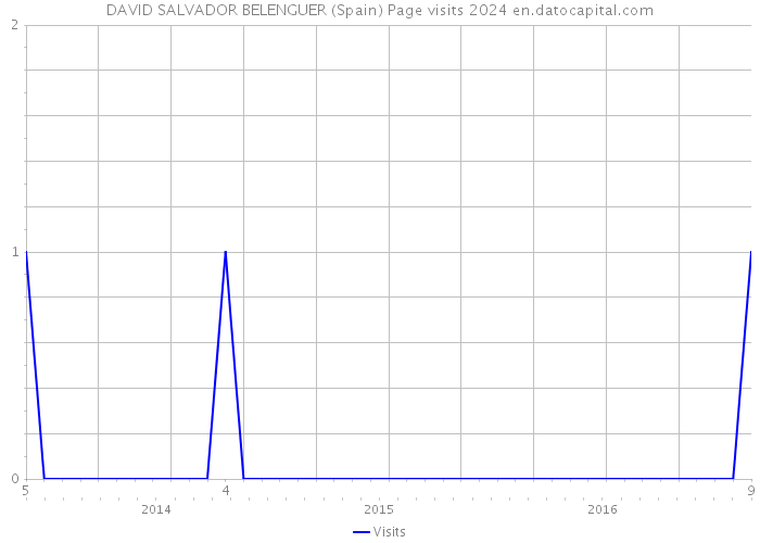 DAVID SALVADOR BELENGUER (Spain) Page visits 2024 