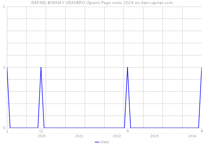 RAFAEL BORNAY GRANERO (Spain) Page visits 2024 