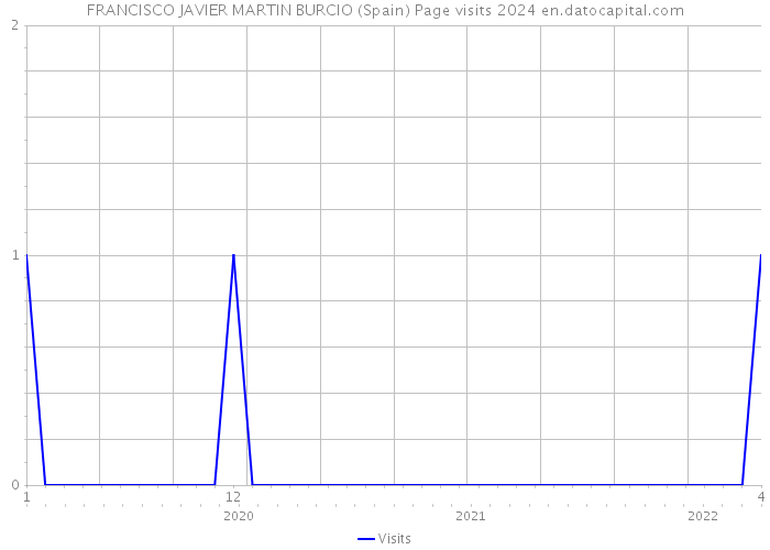 FRANCISCO JAVIER MARTIN BURCIO (Spain) Page visits 2024 