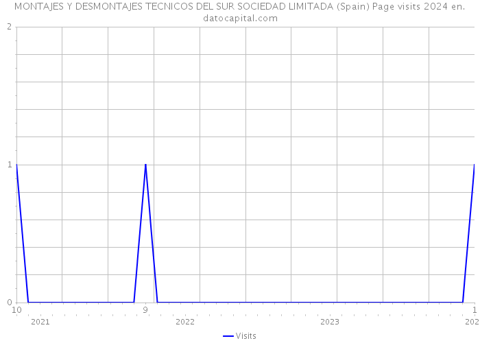 MONTAJES Y DESMONTAJES TECNICOS DEL SUR SOCIEDAD LIMITADA (Spain) Page visits 2024 
