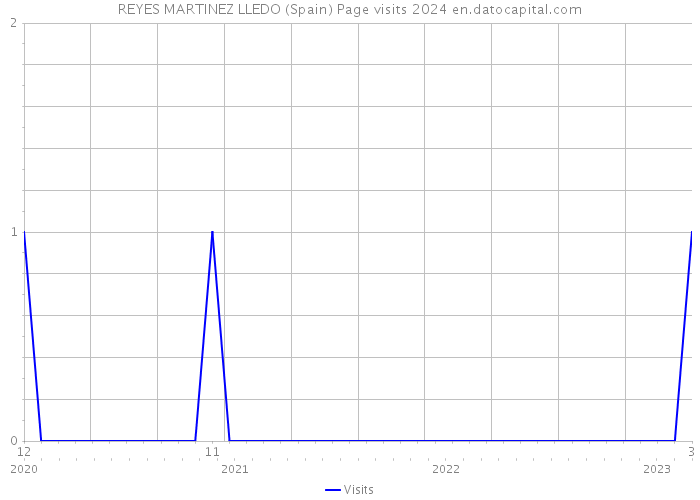 REYES MARTINEZ LLEDO (Spain) Page visits 2024 