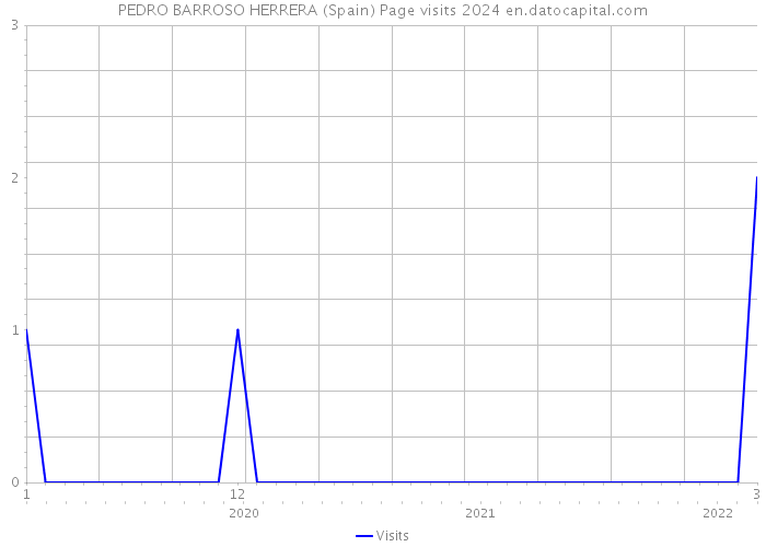 PEDRO BARROSO HERRERA (Spain) Page visits 2024 