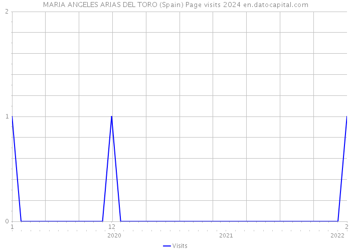 MARIA ANGELES ARIAS DEL TORO (Spain) Page visits 2024 