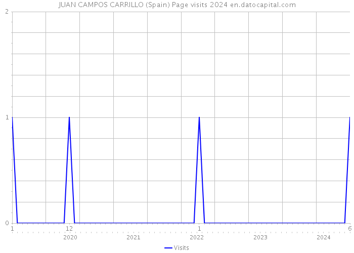 JUAN CAMPOS CARRILLO (Spain) Page visits 2024 
