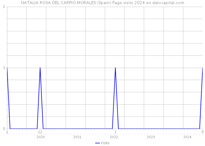 NATALIA ROSA DEL CARPIO MORALES (Spain) Page visits 2024 