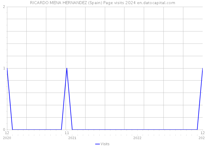 RICARDO MENA HERNANDEZ (Spain) Page visits 2024 