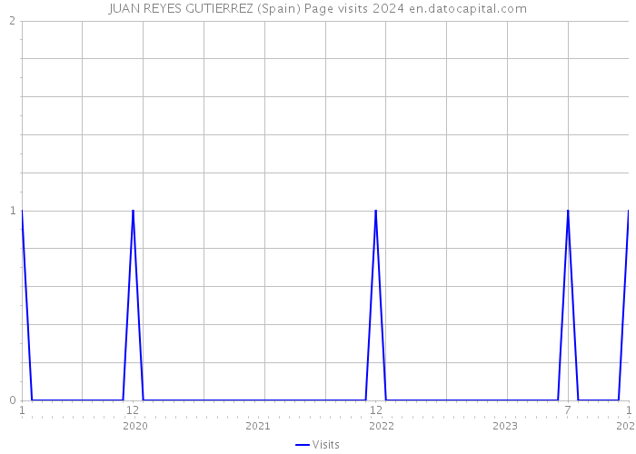 JUAN REYES GUTIERREZ (Spain) Page visits 2024 