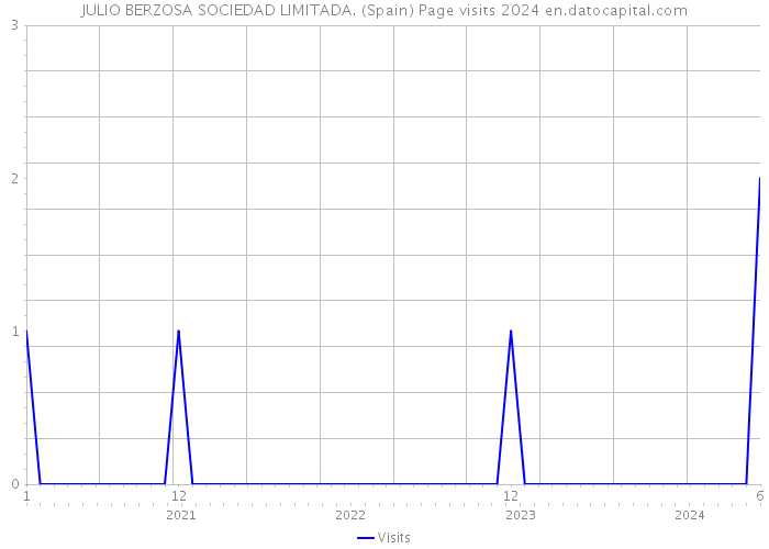 JULIO BERZOSA SOCIEDAD LIMITADA. (Spain) Page visits 2024 