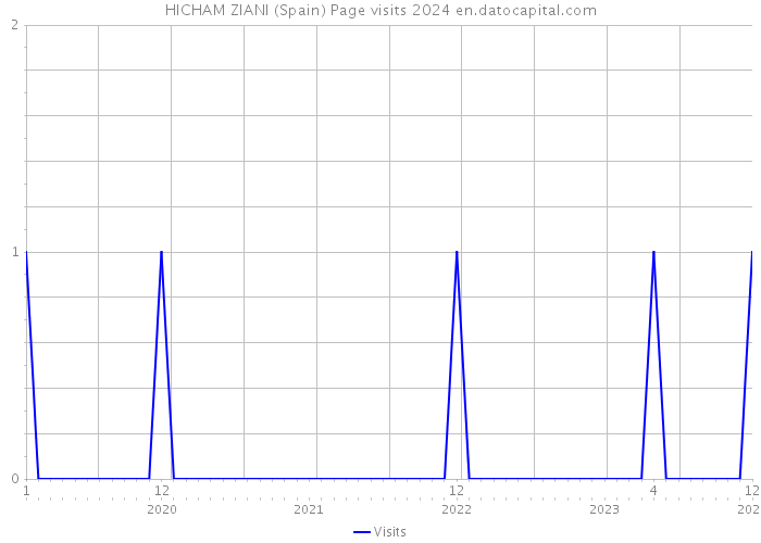 HICHAM ZIANI (Spain) Page visits 2024 