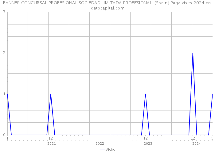 BANNER CONCURSAL PROFESIONAL SOCIEDAD LIMITADA PROFESIONAL. (Spain) Page visits 2024 