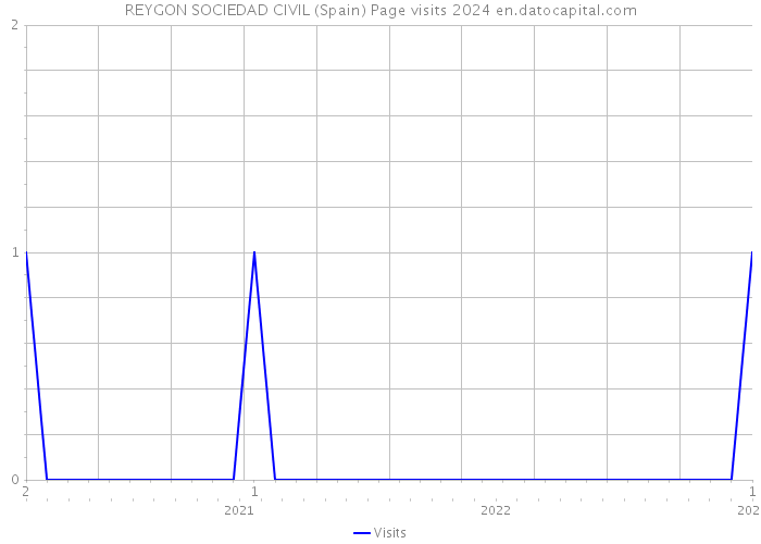 REYGON SOCIEDAD CIVIL (Spain) Page visits 2024 