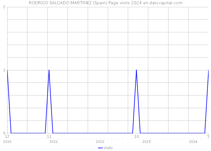 RODRIGO SALGADO MARTINEZ (Spain) Page visits 2024 