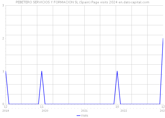 PEBETERO SERVICIOS Y FORMACION SL (Spain) Page visits 2024 