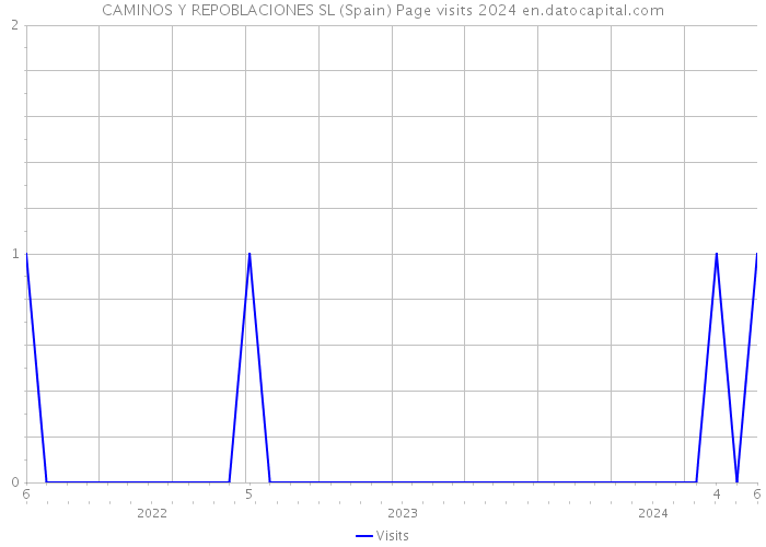 CAMINOS Y REPOBLACIONES SL (Spain) Page visits 2024 