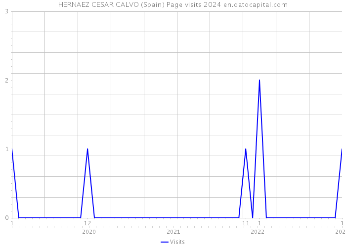HERNAEZ CESAR CALVO (Spain) Page visits 2024 