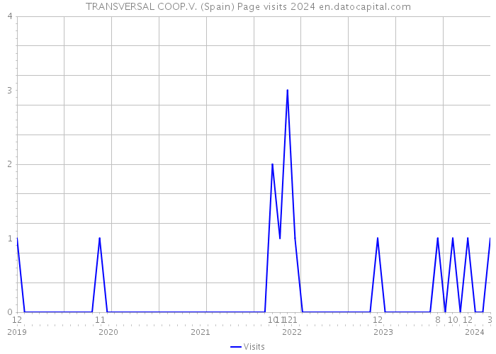 TRANSVERSAL COOP.V. (Spain) Page visits 2024 