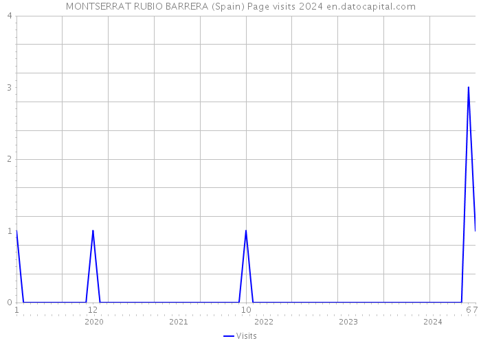 MONTSERRAT RUBIO BARRERA (Spain) Page visits 2024 