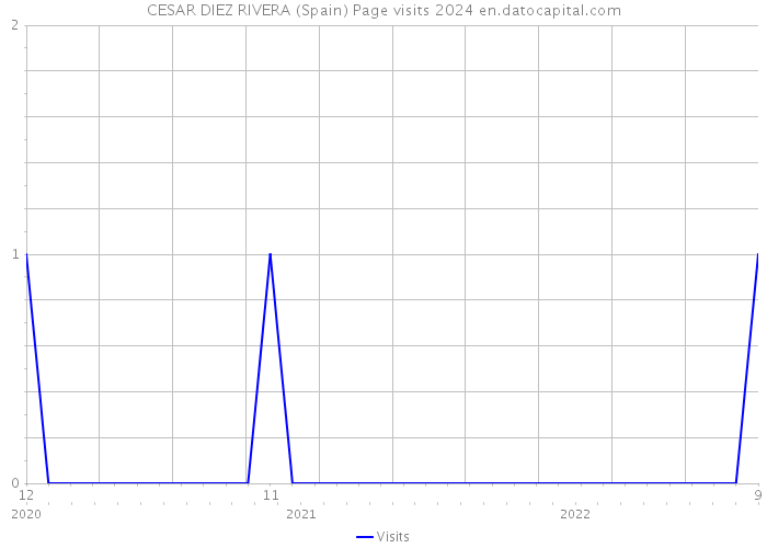 CESAR DIEZ RIVERA (Spain) Page visits 2024 