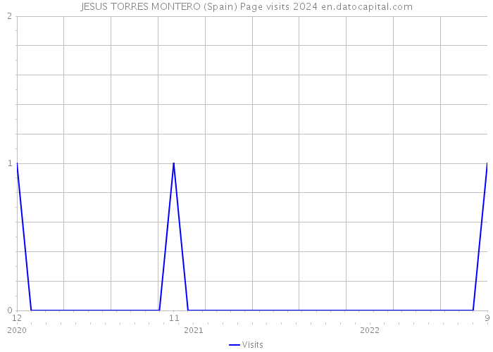JESUS TORRES MONTERO (Spain) Page visits 2024 