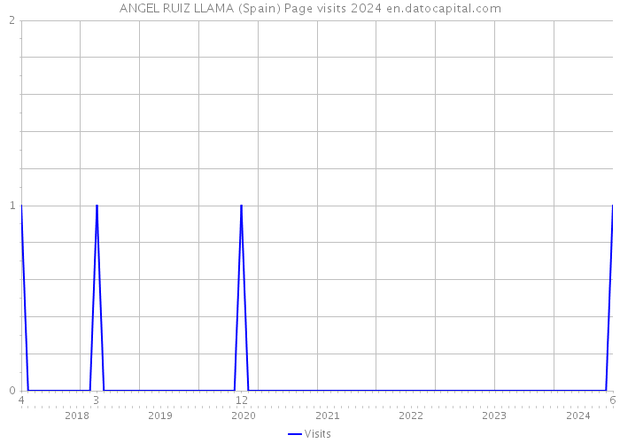 ANGEL RUIZ LLAMA (Spain) Page visits 2024 