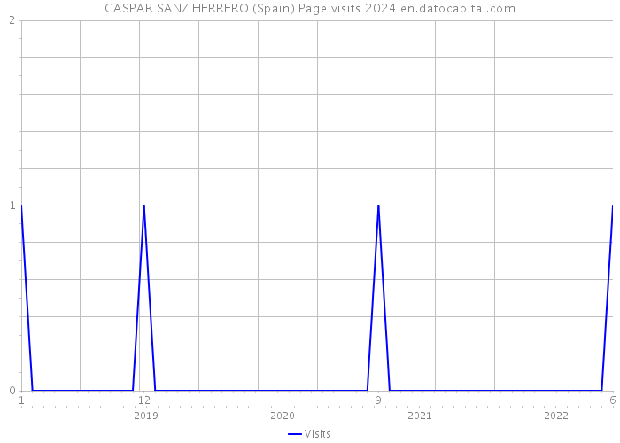 GASPAR SANZ HERRERO (Spain) Page visits 2024 