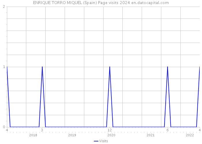ENRIQUE TORRO MIQUEL (Spain) Page visits 2024 