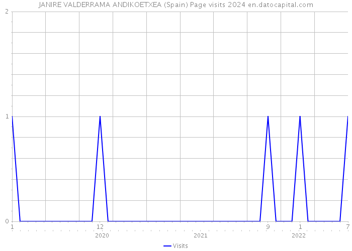 JANIRE VALDERRAMA ANDIKOETXEA (Spain) Page visits 2024 
