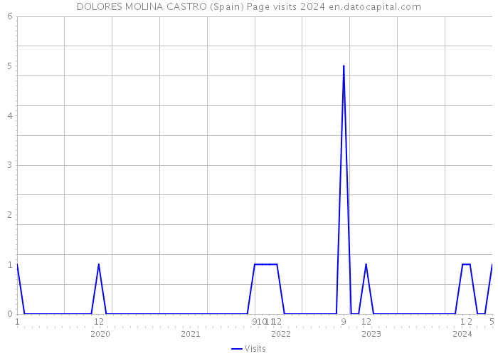 DOLORES MOLINA CASTRO (Spain) Page visits 2024 