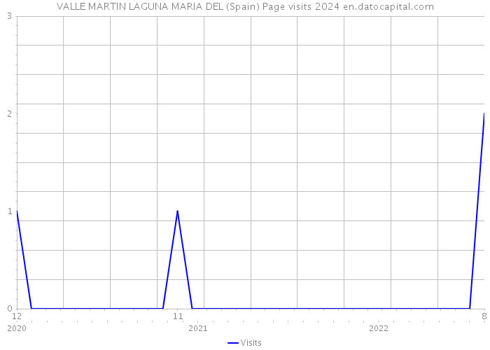 VALLE MARTIN LAGUNA MARIA DEL (Spain) Page visits 2024 