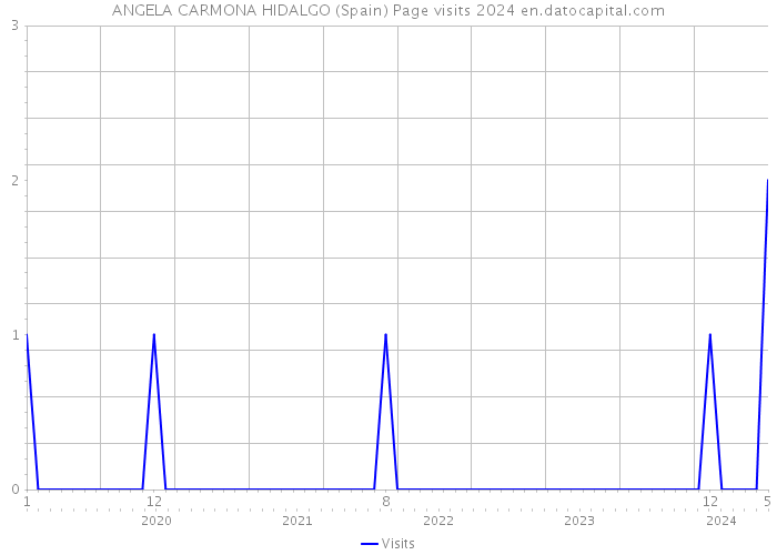 ANGELA CARMONA HIDALGO (Spain) Page visits 2024 