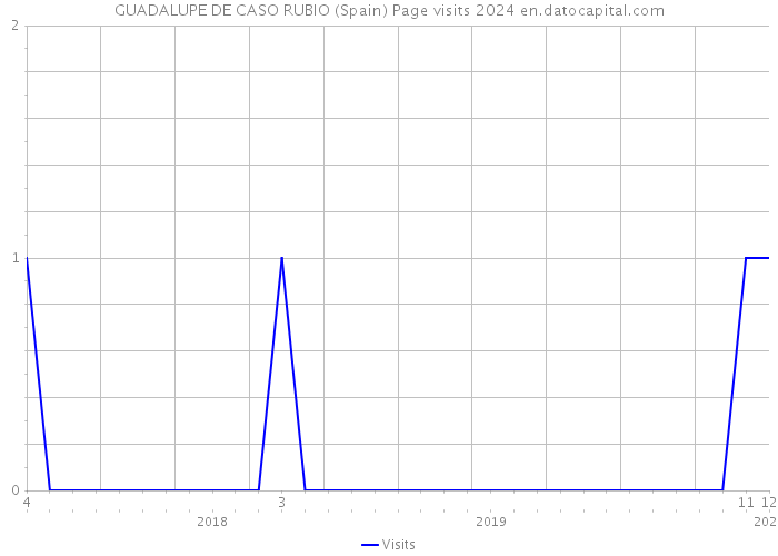 GUADALUPE DE CASO RUBIO (Spain) Page visits 2024 
