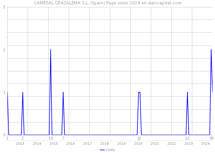 CAMESAL GRAZALEMA S.L. (Spain) Page visits 2024 