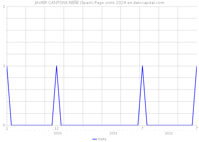 JAVIER CANTONS REÑE (Spain) Page visits 2024 