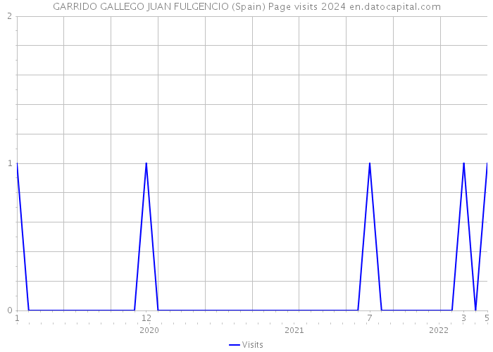 GARRIDO GALLEGO JUAN FULGENCIO (Spain) Page visits 2024 