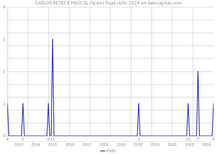 CARLOS REYES E HIJOS SL (Spain) Page visits 2024 