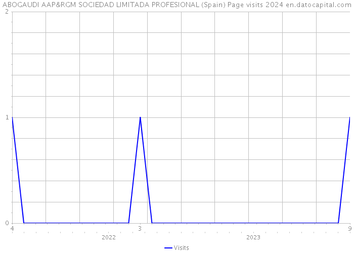 ABOGAUDI AAP&RGM SOCIEDAD LIMITADA PROFESIONAL (Spain) Page visits 2024 