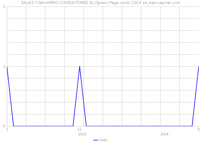 SALAS Y NAVARRO CONSULTORES SL (Spain) Page visits 2024 