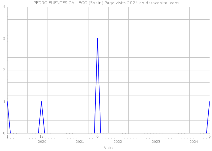 PEDRO FUENTES GALLEGO (Spain) Page visits 2024 