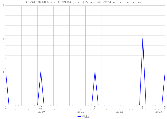 SALVADOR MENDEZ HERRERA (Spain) Page visits 2024 