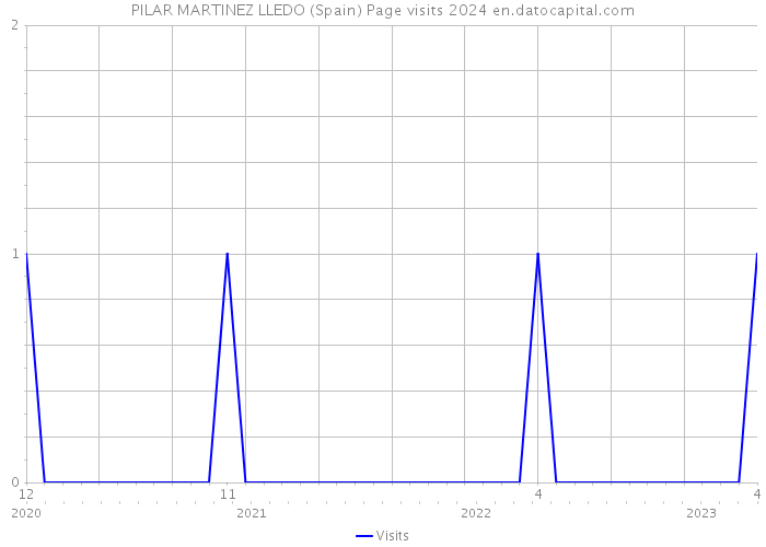 PILAR MARTINEZ LLEDO (Spain) Page visits 2024 